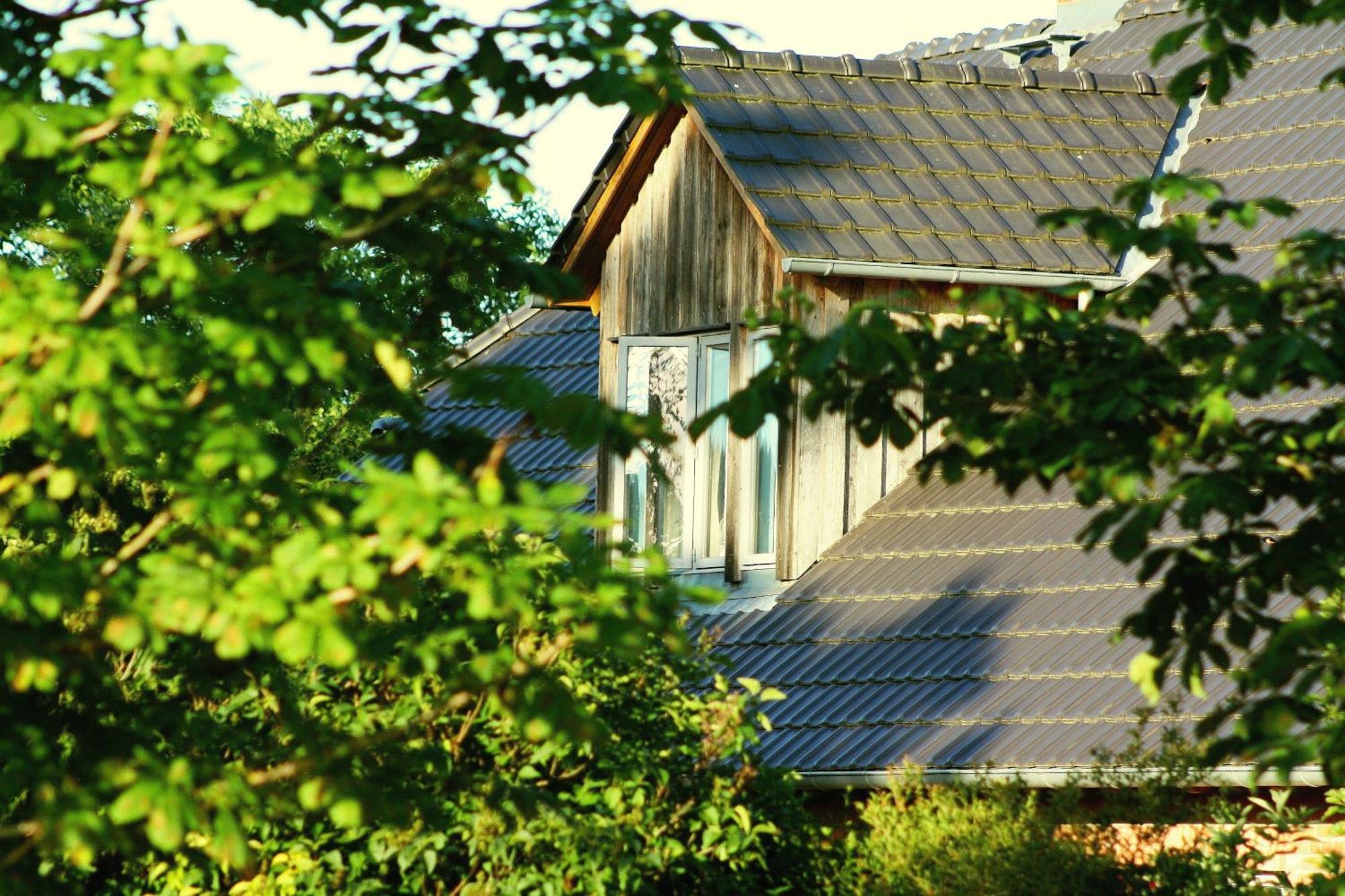 Forsthof Niendorf Lägenhet Teterow Exteriör bild